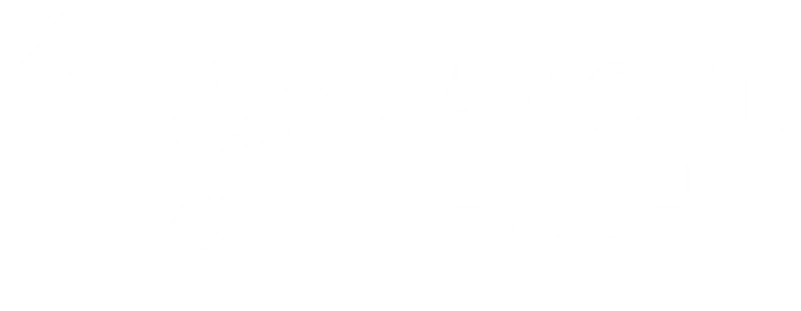 diamondex9 Logo